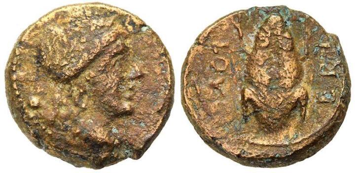 Apollo and Toad Coin